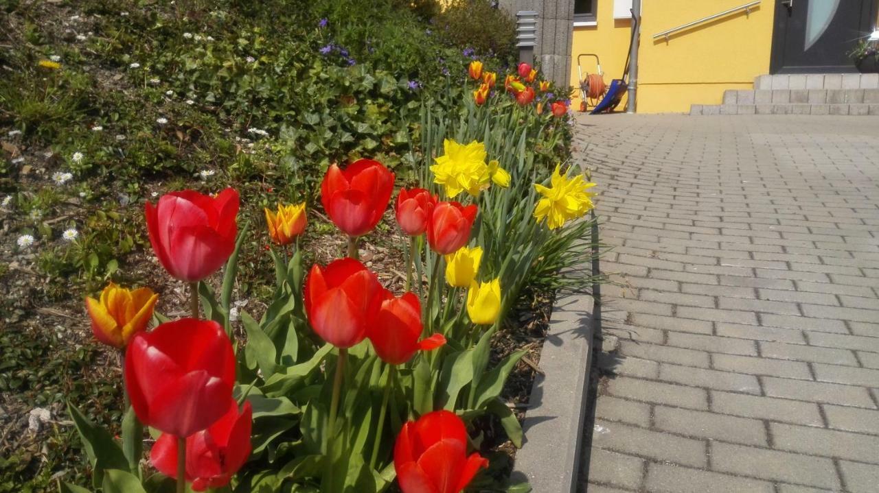 Ferienwohnung Oberpfannenstiel Bernsbach エクステリア 写真